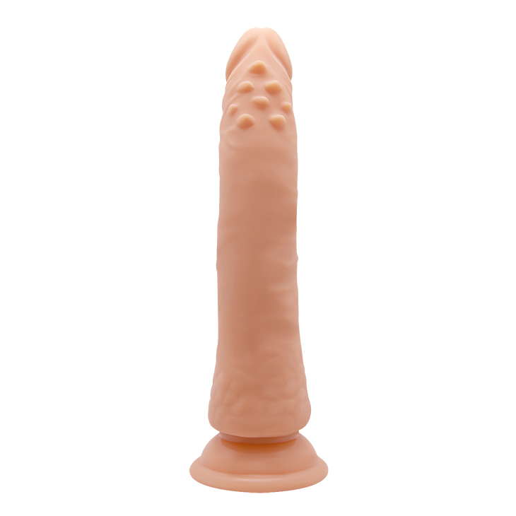 Barbara Bertram with build-in spine and suction 21 cm - Image 7