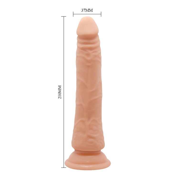 Barbara Bertram with build-in spine and suction 21 cm - Image 3