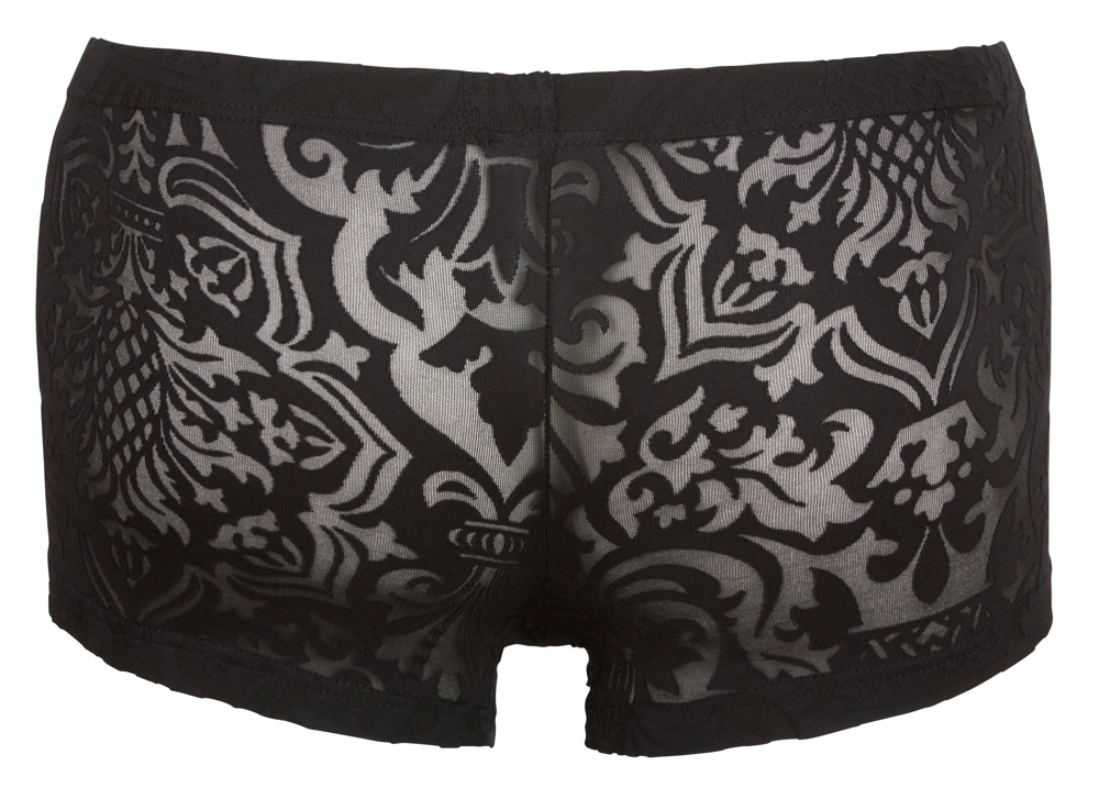 Svenjoyment Tempting Transparent Boxer - Image 5