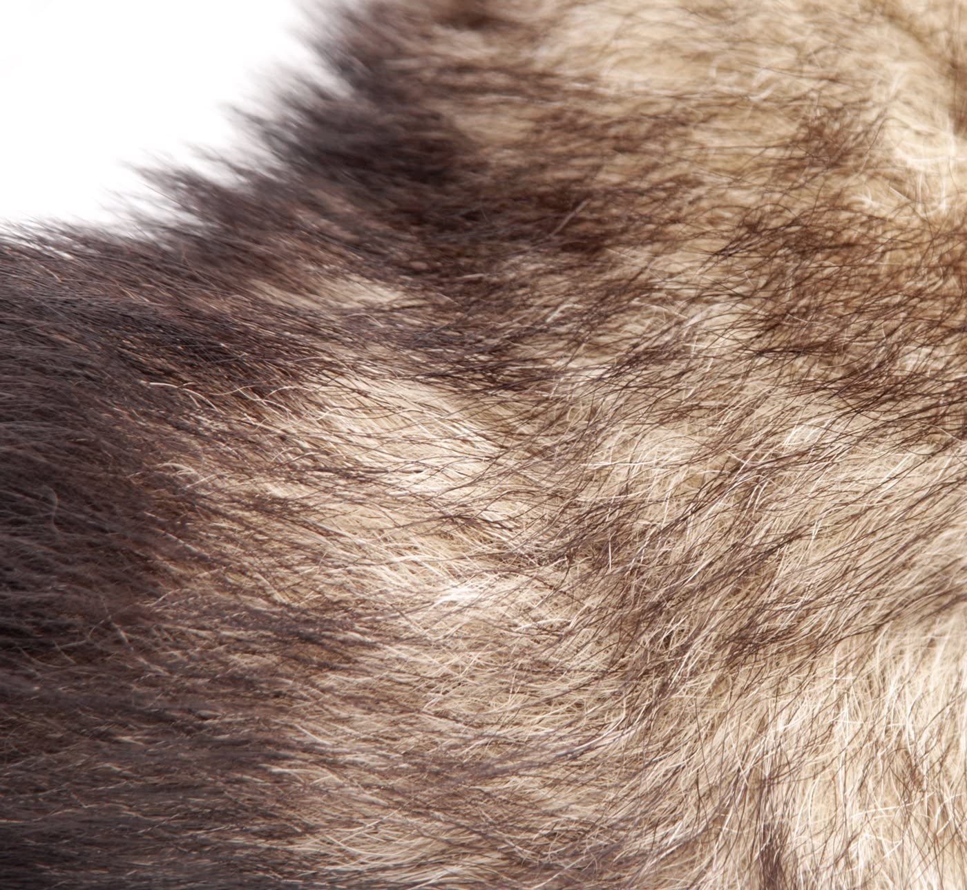 Authentic Fox fur Tail with metal butt plug LARGE - Image 4